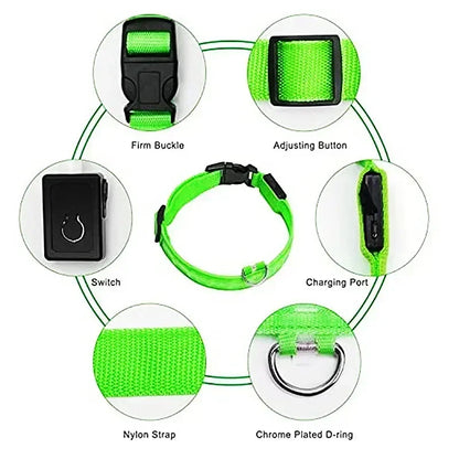 LED Dog Safety Collar