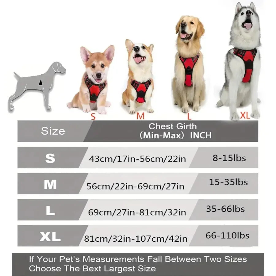 Leather Dog Harness Vest Set