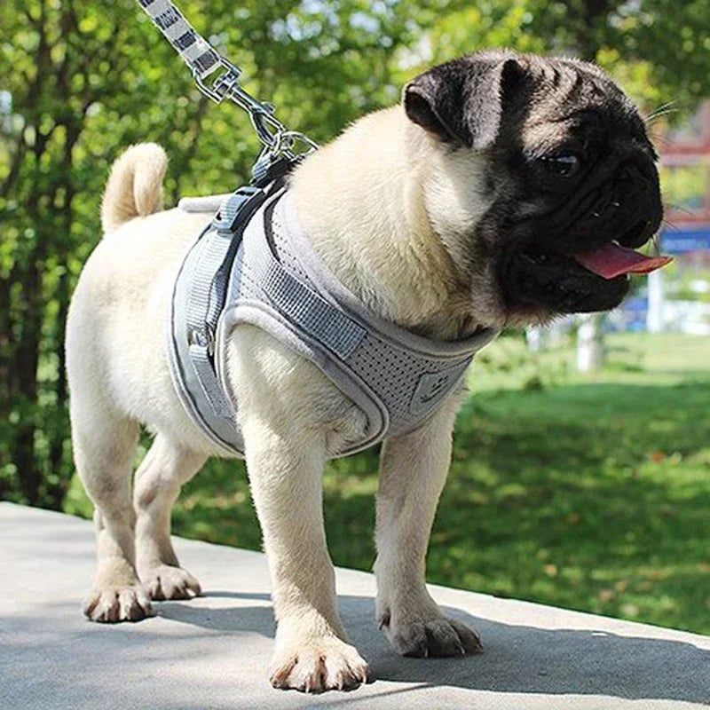 Lightweight Mesh Dog Harness with Leash