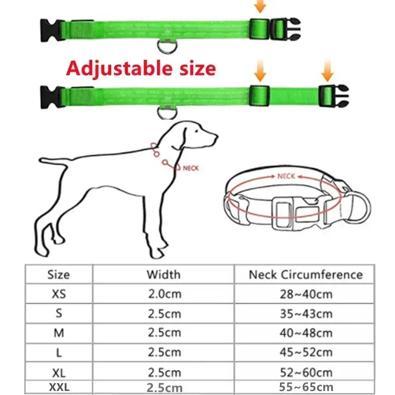 LED Dog Safety Collar