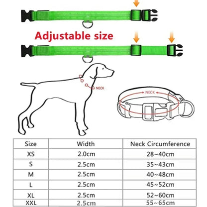 LED Dog Safety Collar