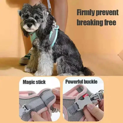 Soft Mesh Dog Harness