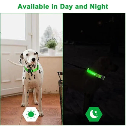 LED Dog Safety Collar