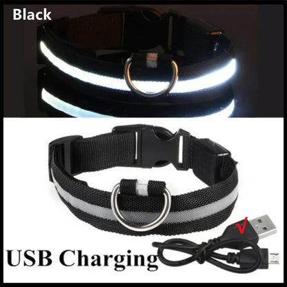 LED Dog Safety Collar