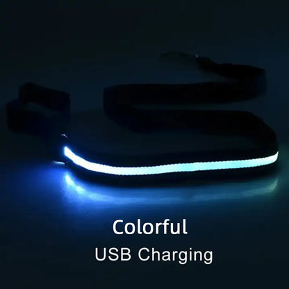 LED Light-Up Dog Leash