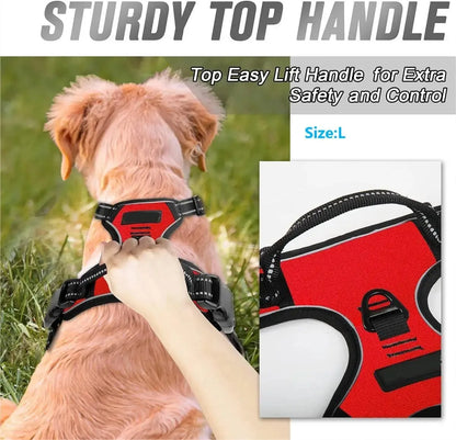 Leather Dog Harness Vest Set