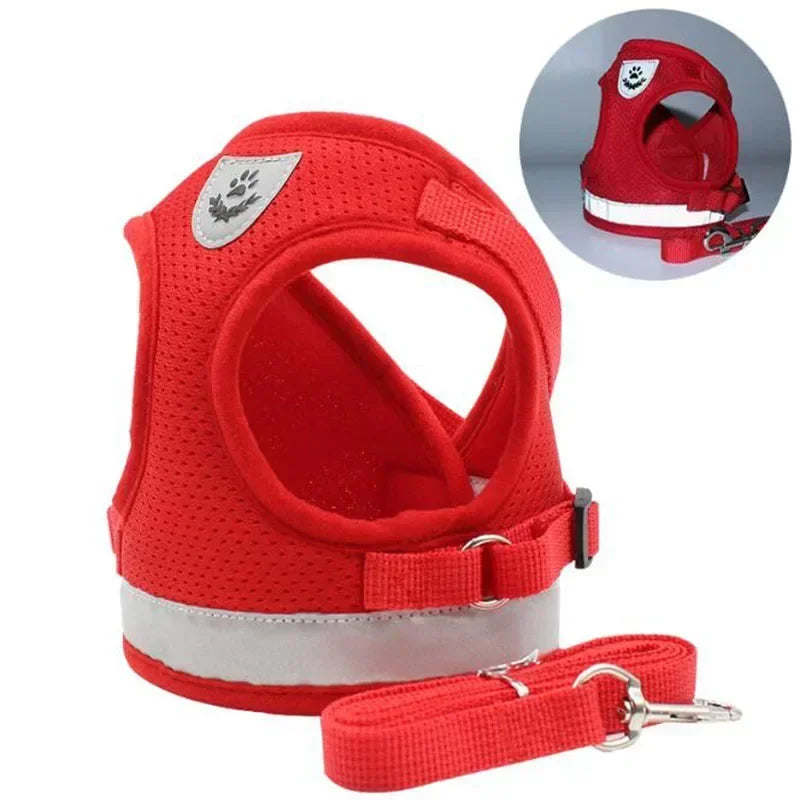 Lightweight Mesh Dog Harness with Leash