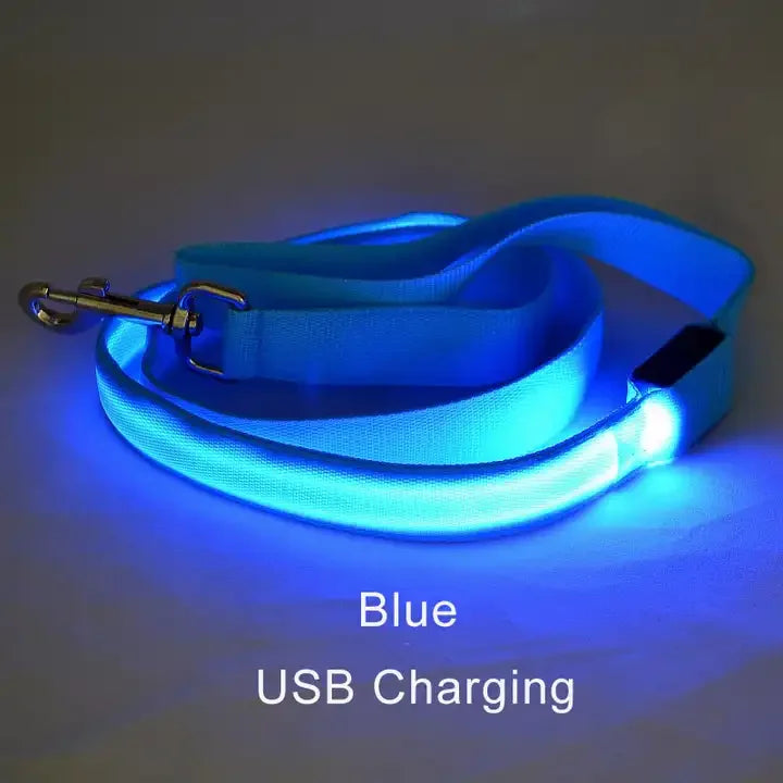 LED Light-Up Dog Leash