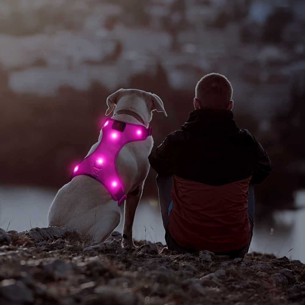 LED Light-Up Dog Harness