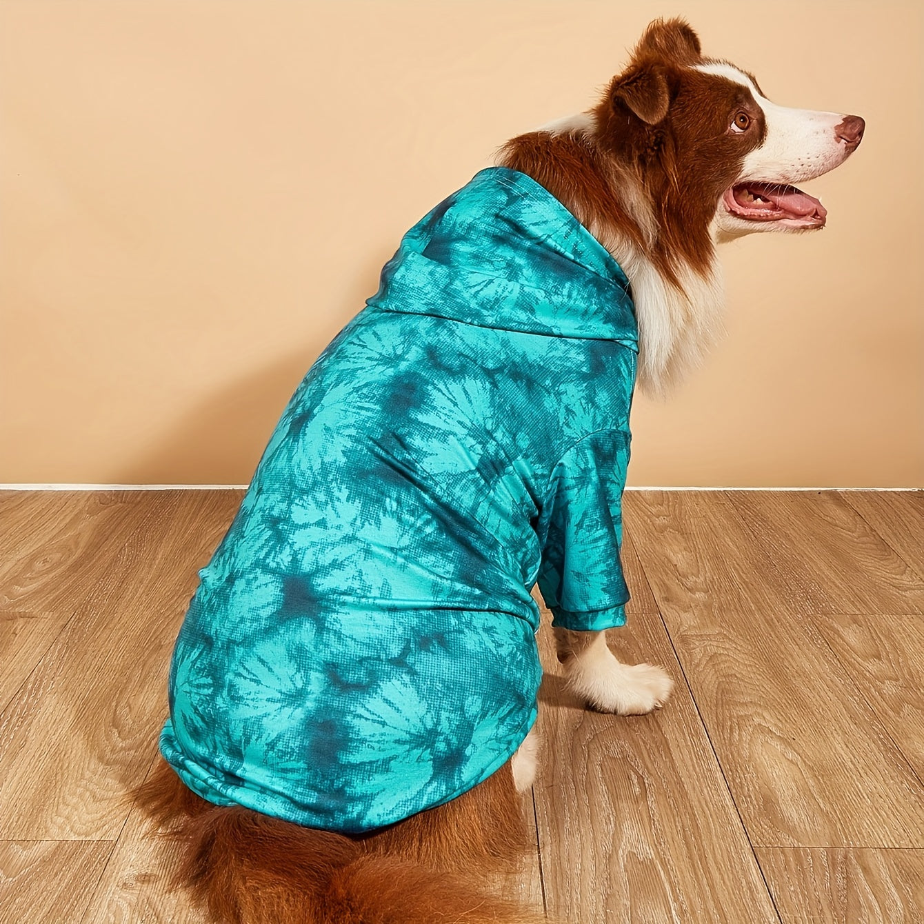 Tie-Dye Dog Hoodie