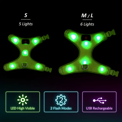 LED Light-Up Dog Harness