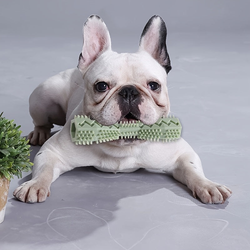Textured Plastic Chew Toy