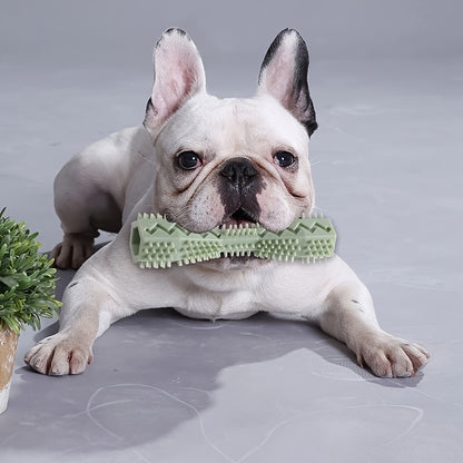 Textured Plastic Chew Toy