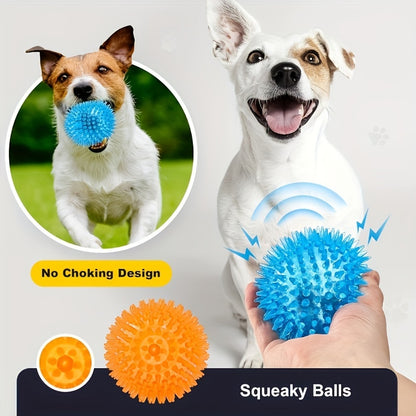 Spiky Squeaky Dog Ball Toy (2-Pack)