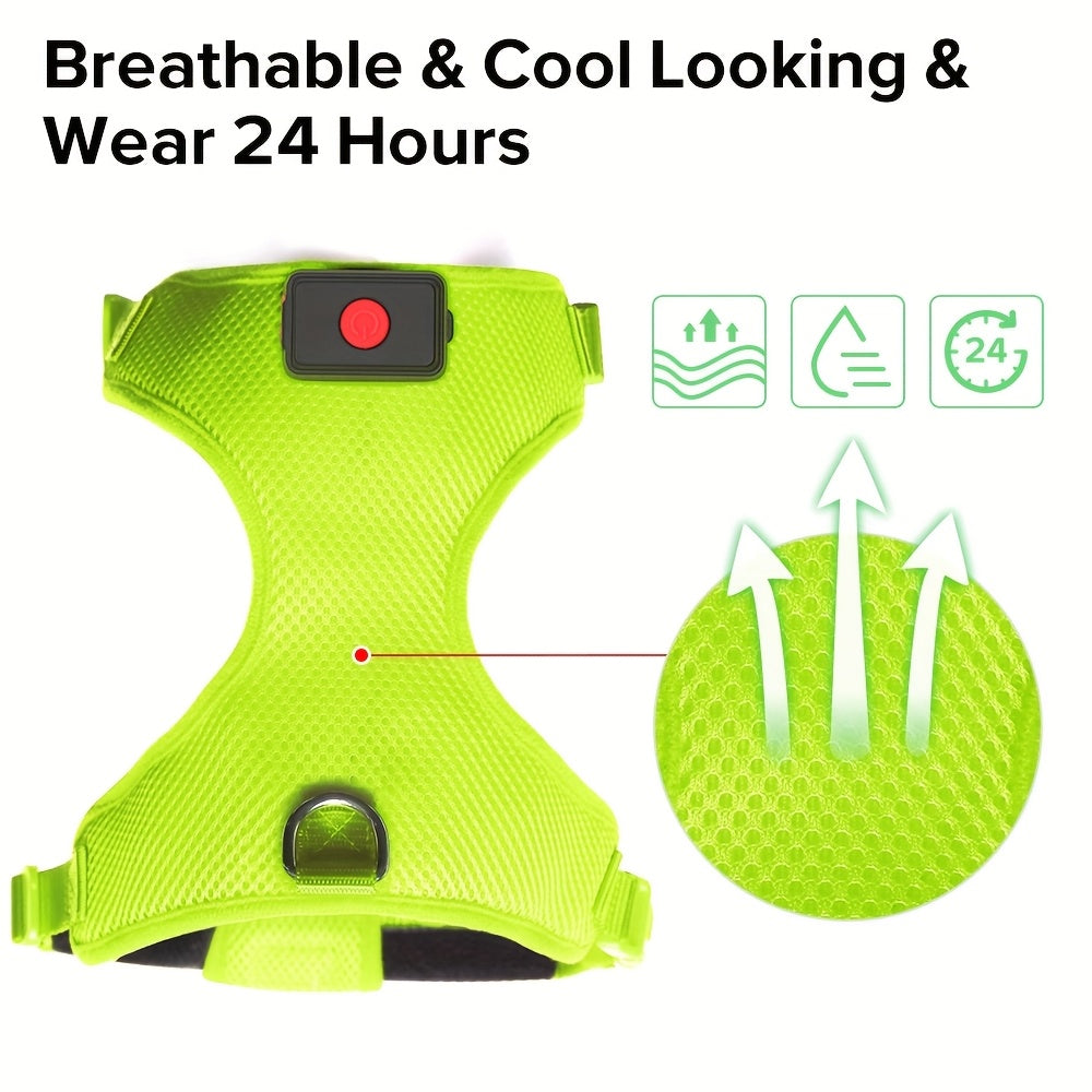 LED Light-Up Dog Harness