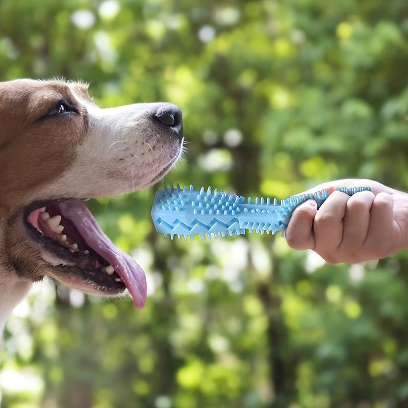 Textured Plastic Chew Toy