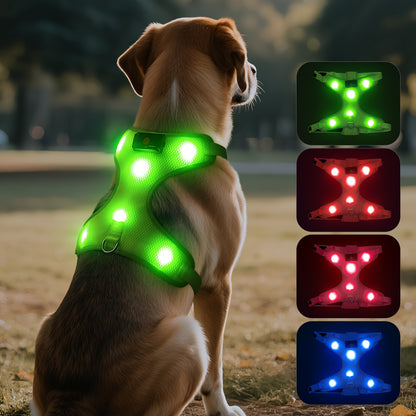 LED Light-Up Dog Harness