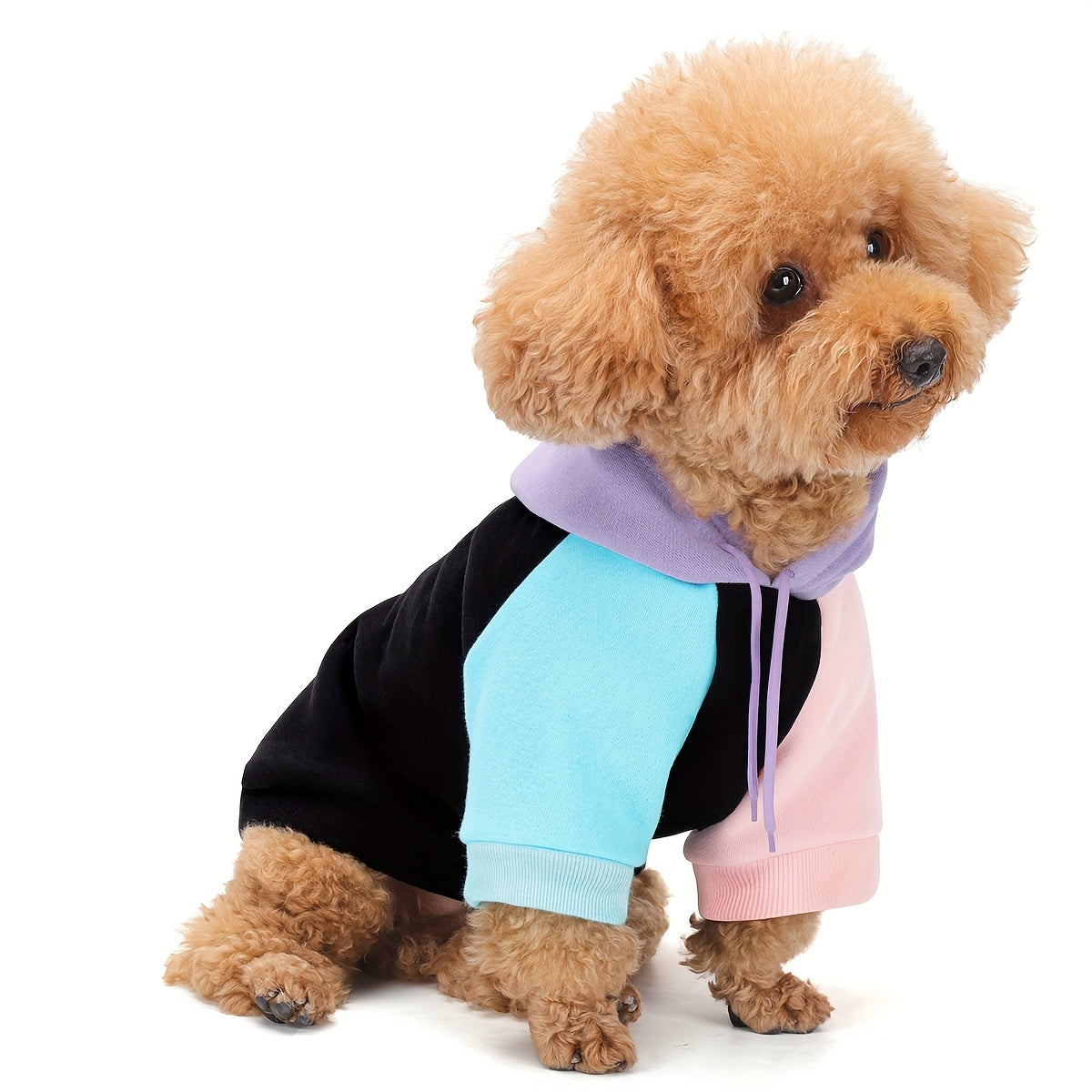 Cyberpunk Dog Hoodie