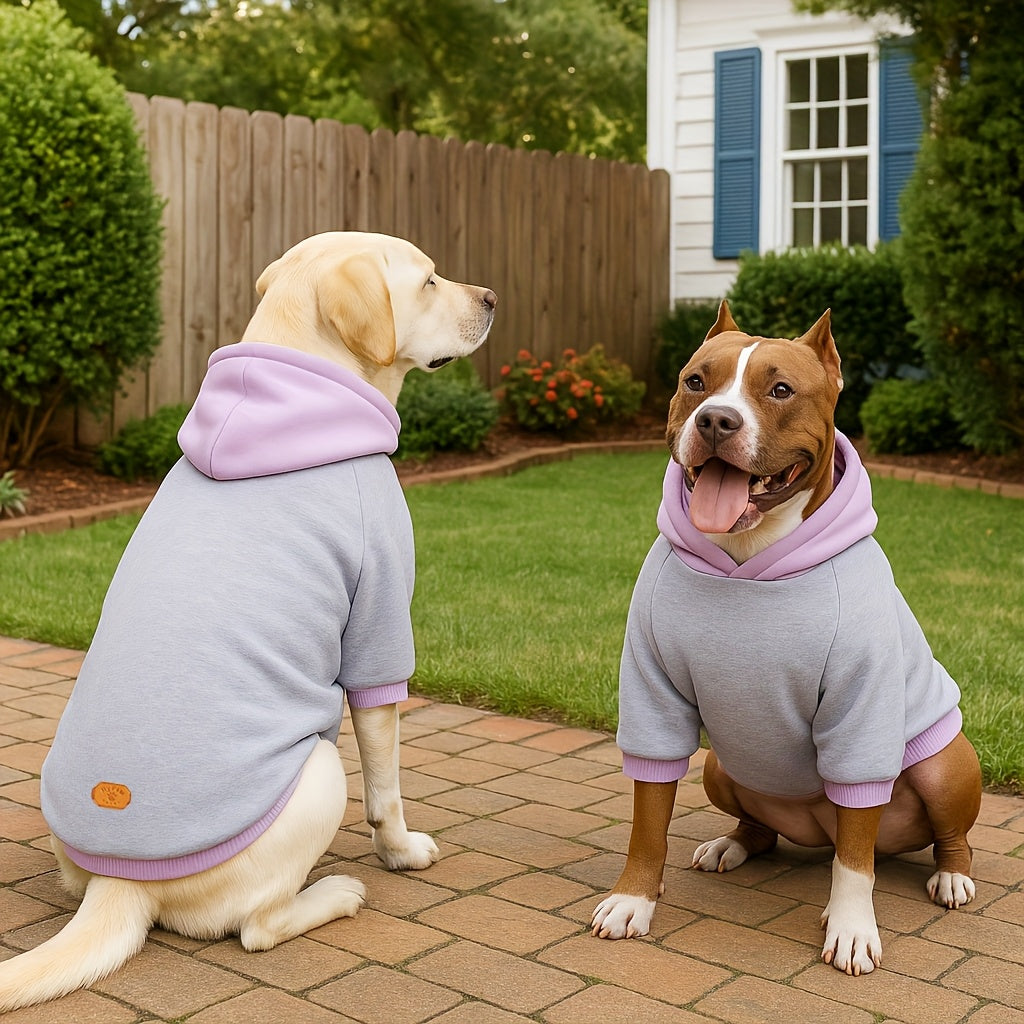 Classic Knit Dog Hoodie