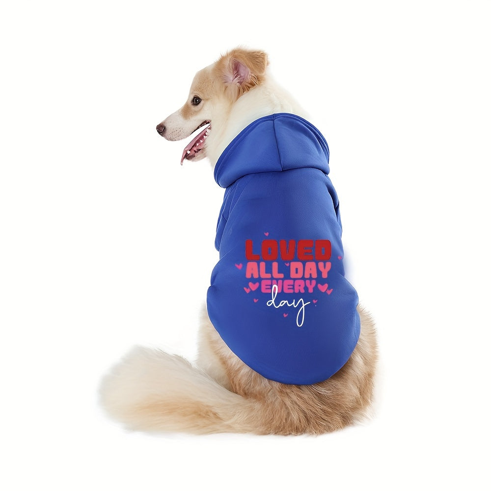 Loved All Day Dog Hoodie