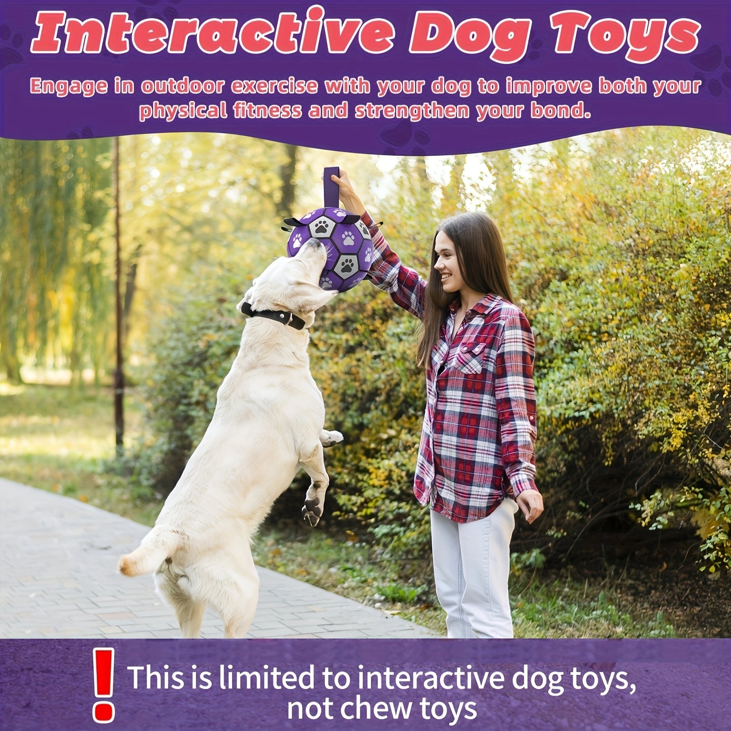 Interactive Dog Soccer Ball(Purple)